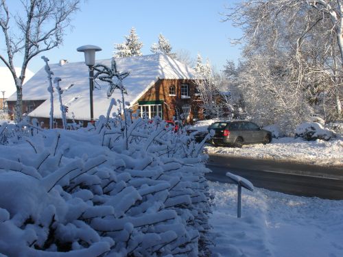winter