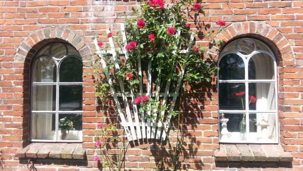 bij de eetkamerraampjes